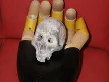 ビンテージ スカル 髑髏 陶磁器 野晒し しゃれこうべ ドクロ 置物 年代物 ビンテージ☆スカル☆置物☆3☆オブジェ☆ドクロ☆野晒し☆ガイコツ